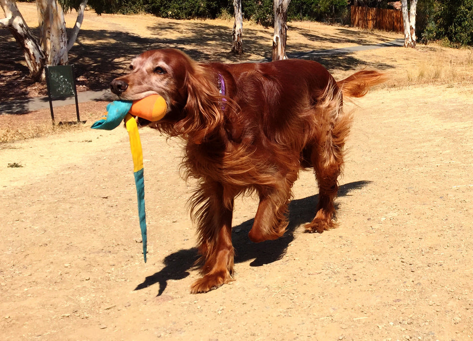 Foxtail Fetch (Dog Toy)